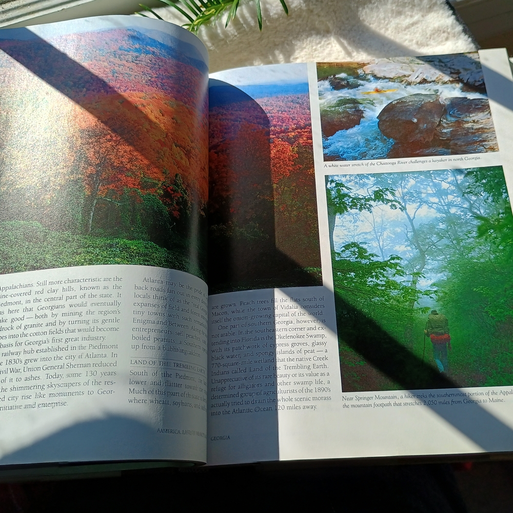 Coffee Table Copy Of America Land Of Beauty And Splendor, MCM Decor - Picture 7 of 9